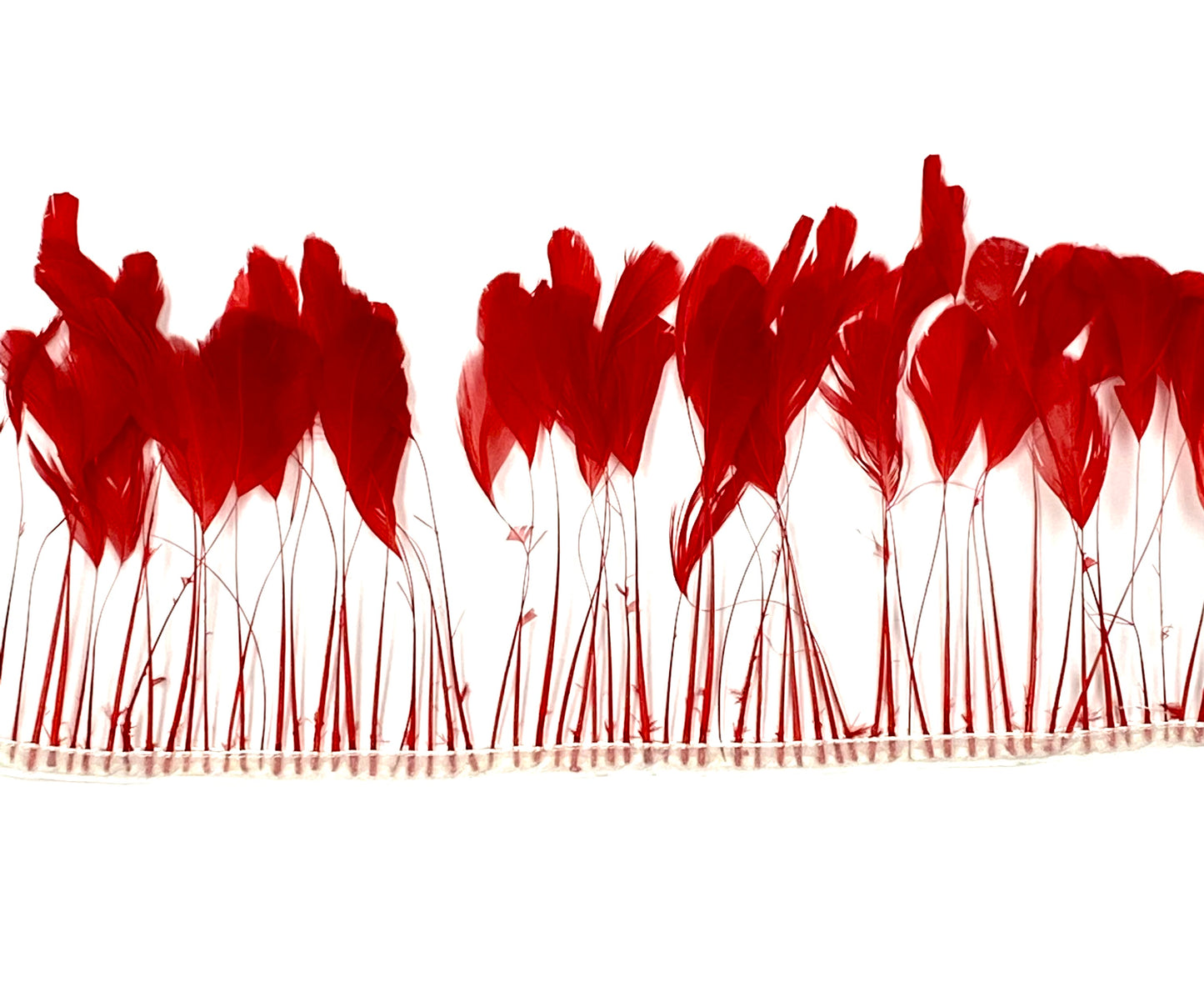 A red burnt coque fringe on a white background by Eskay Feathers