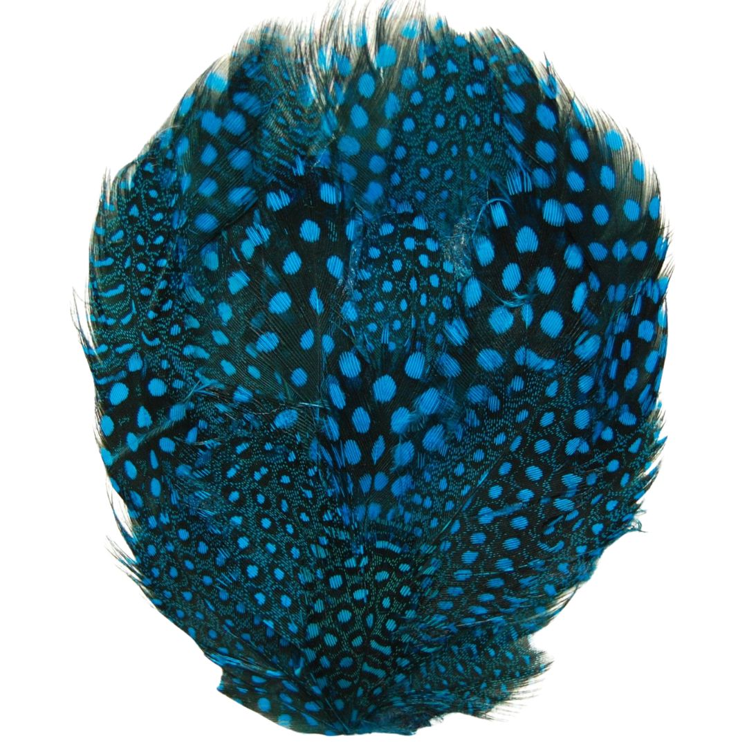 A beautiful blue guinea feather pad