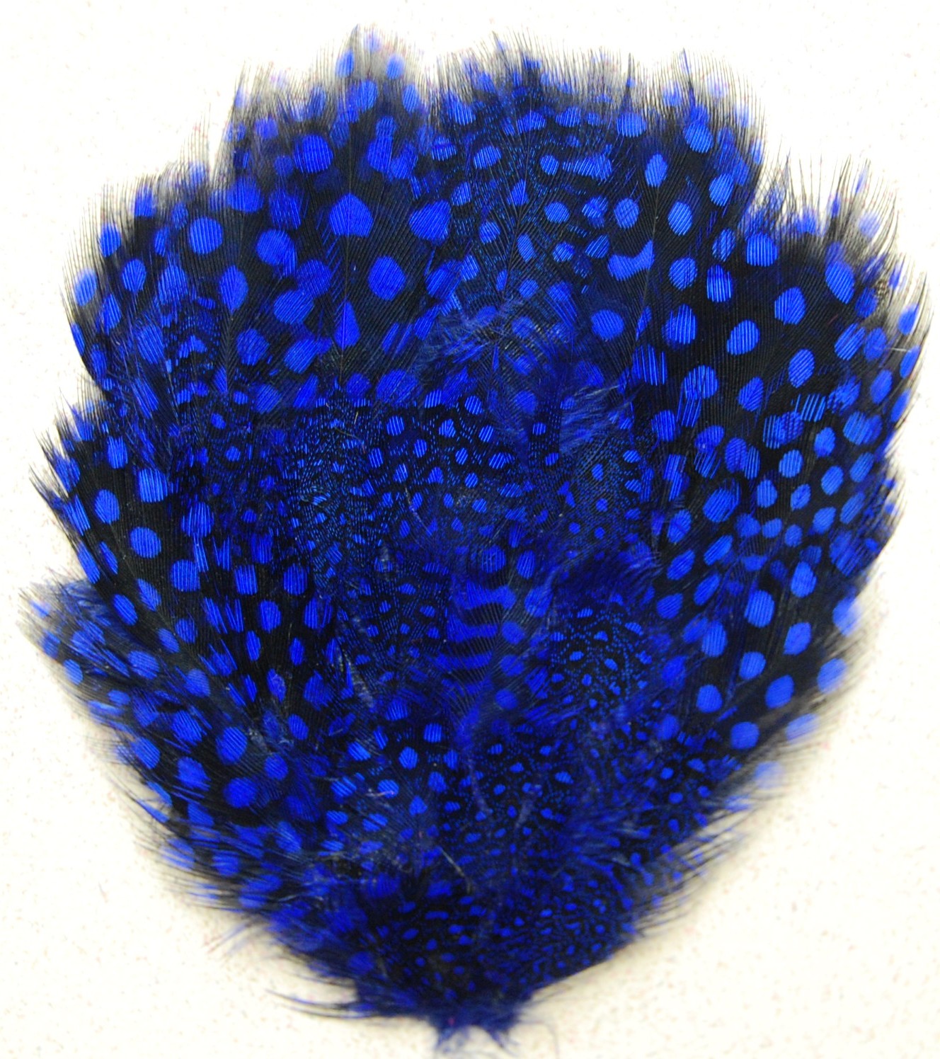 A blue and black guinea feather pad