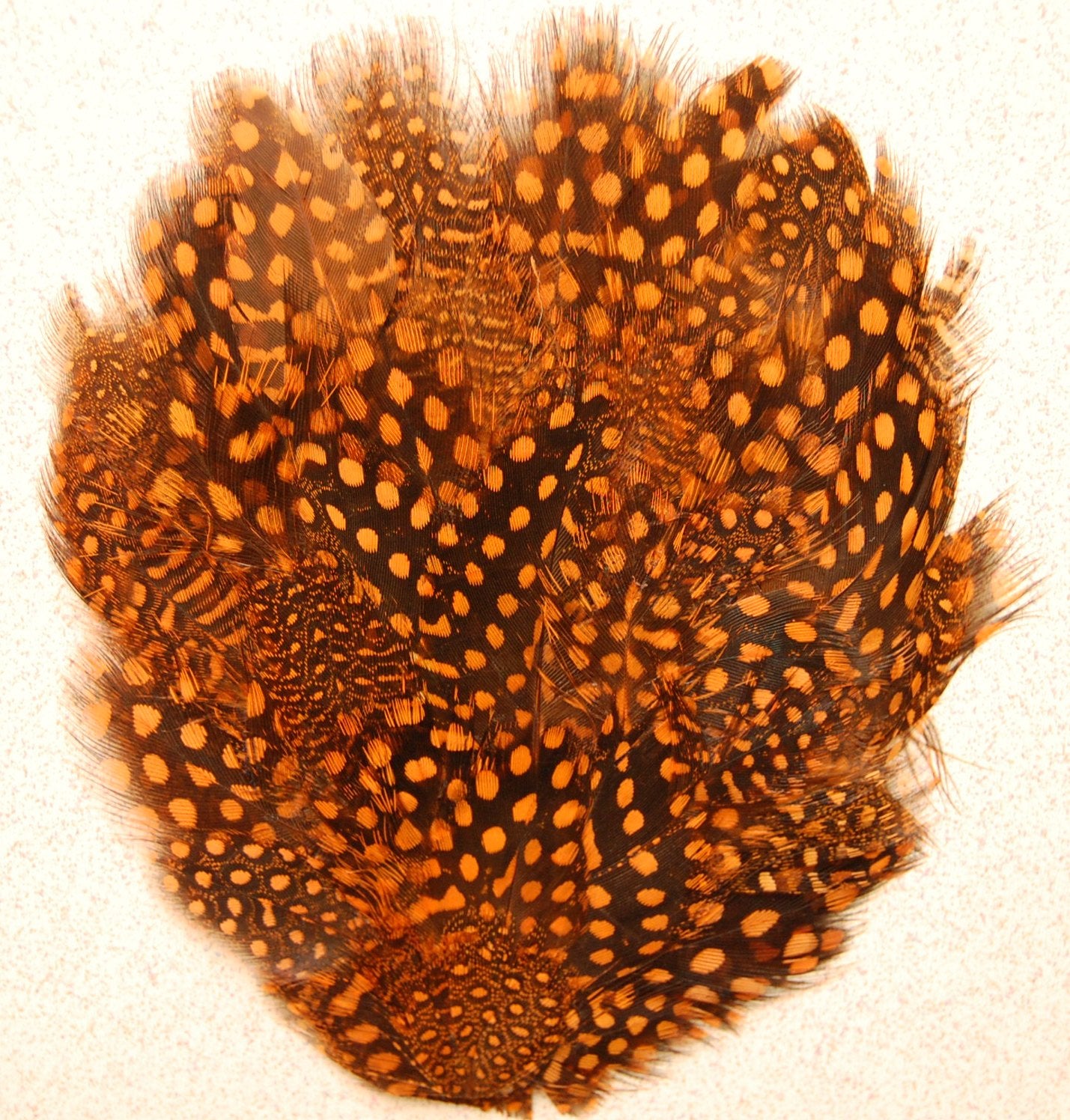 Orange guinea feather pad