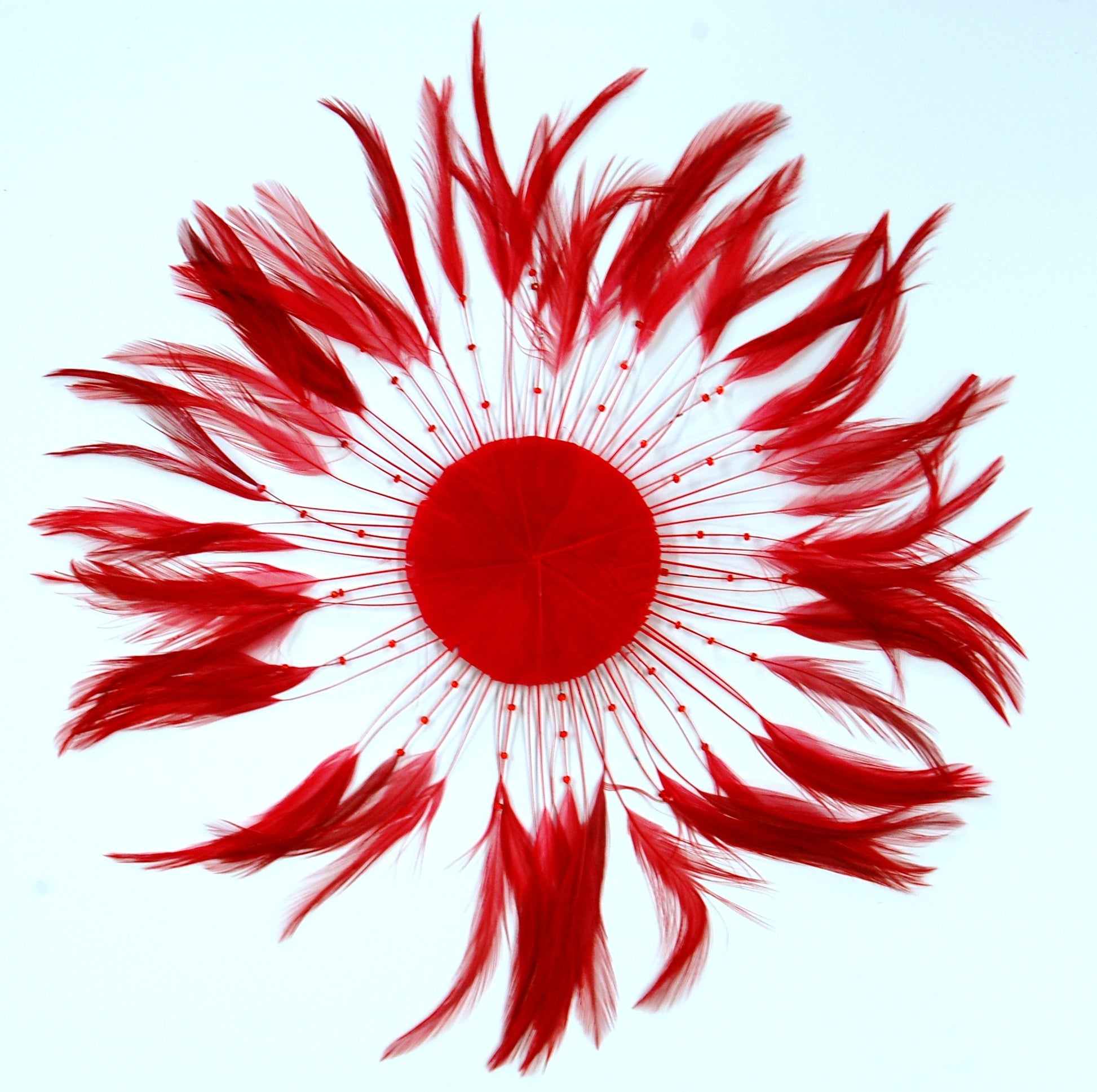 A Red pinwheel by Eskay Feathers on White background