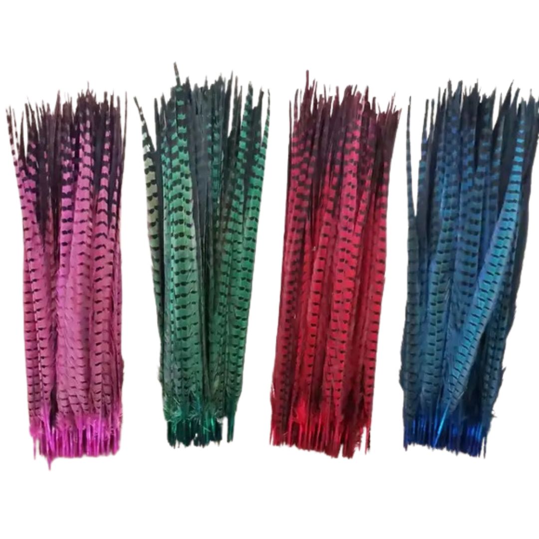 Variety of colors of Pheasant Tail Feathers