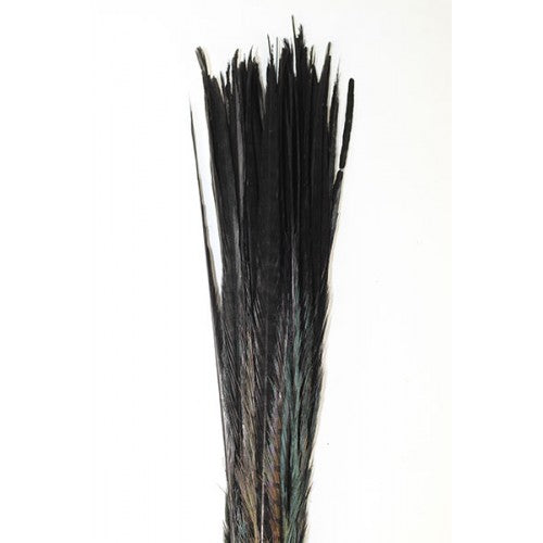 Black Pheasant Tail Feathers