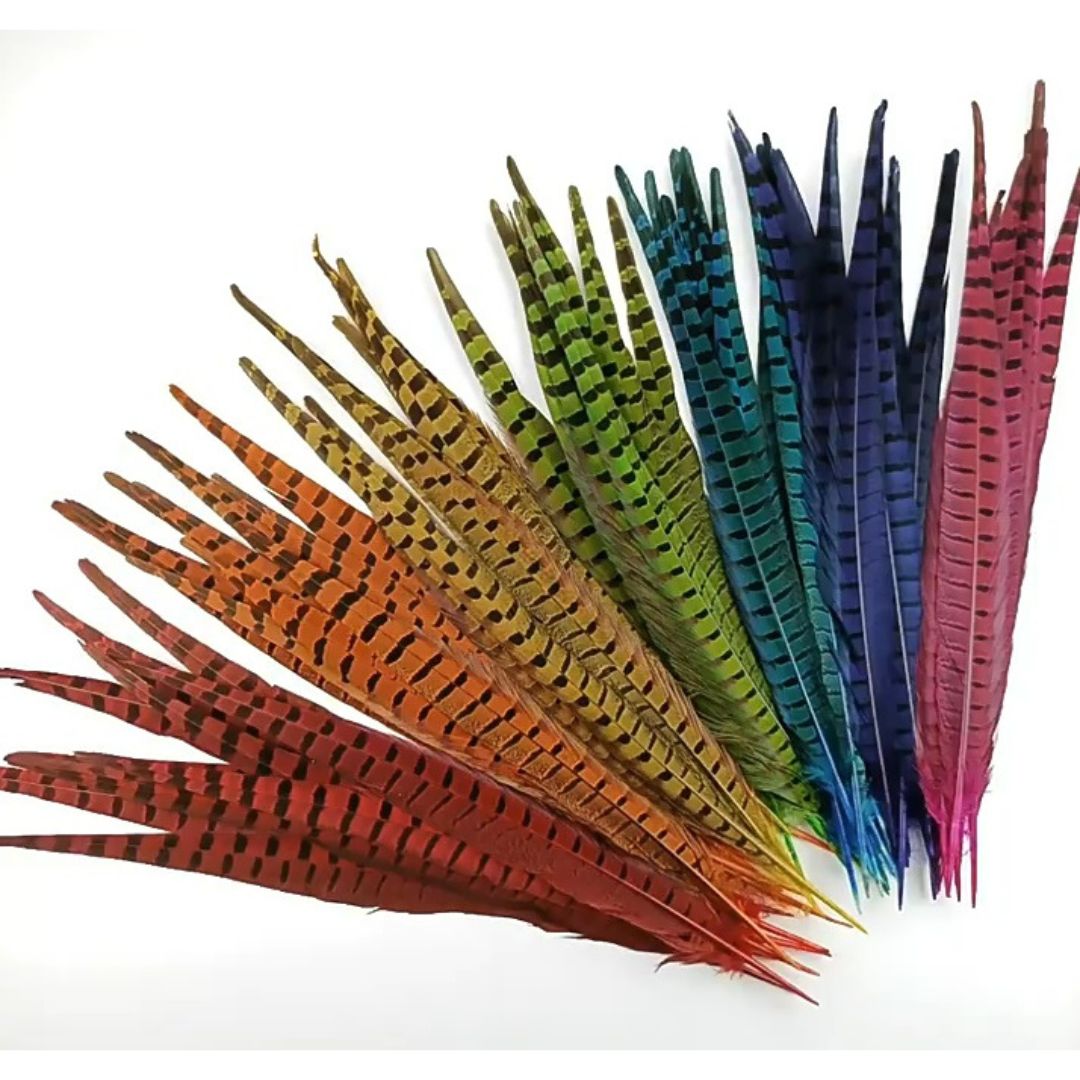 Rainbow of Pheasant Tail Feathers