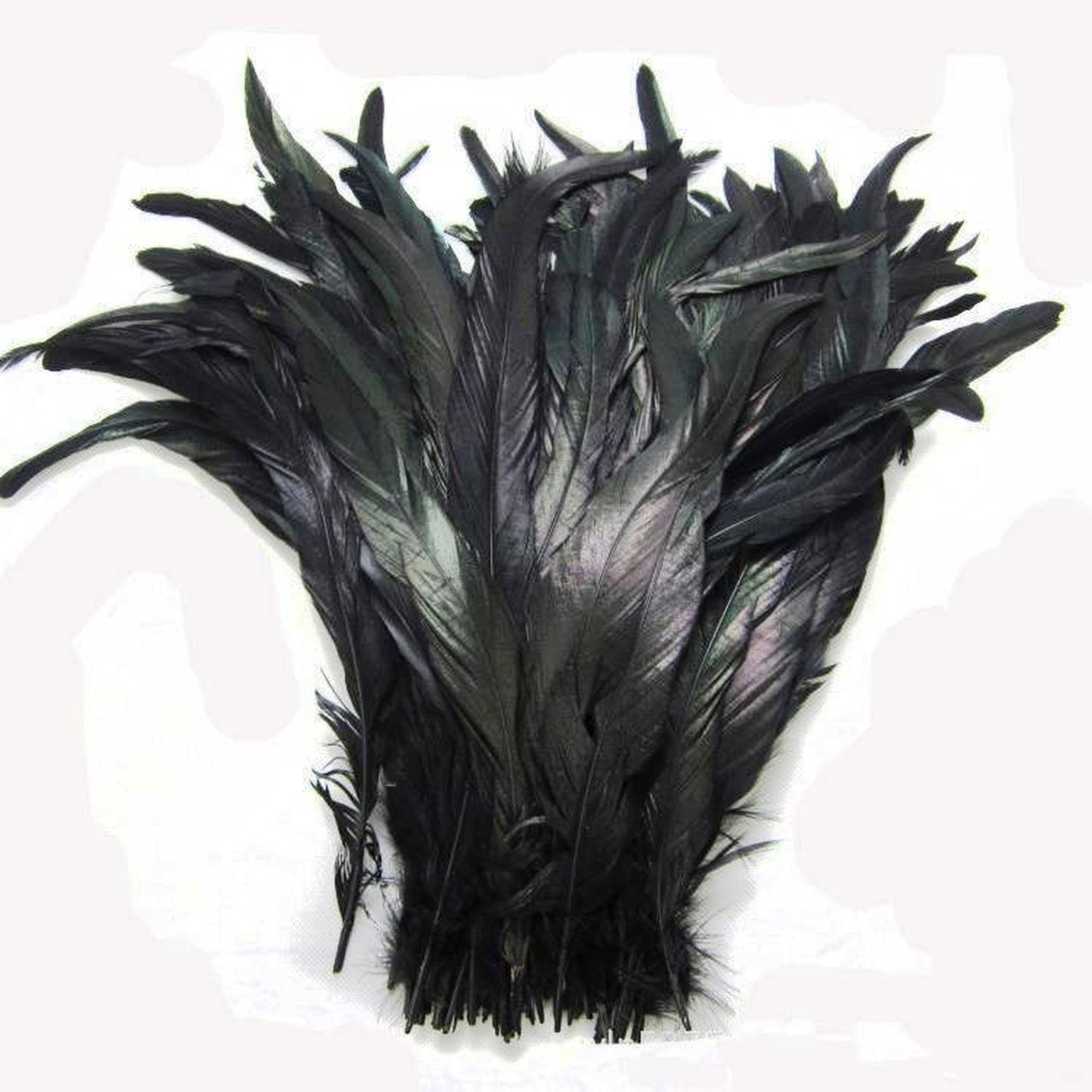 dyed black feathers laying on a table