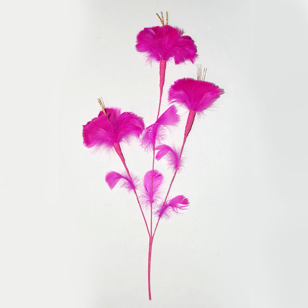 fuscia feather flowers on a white background