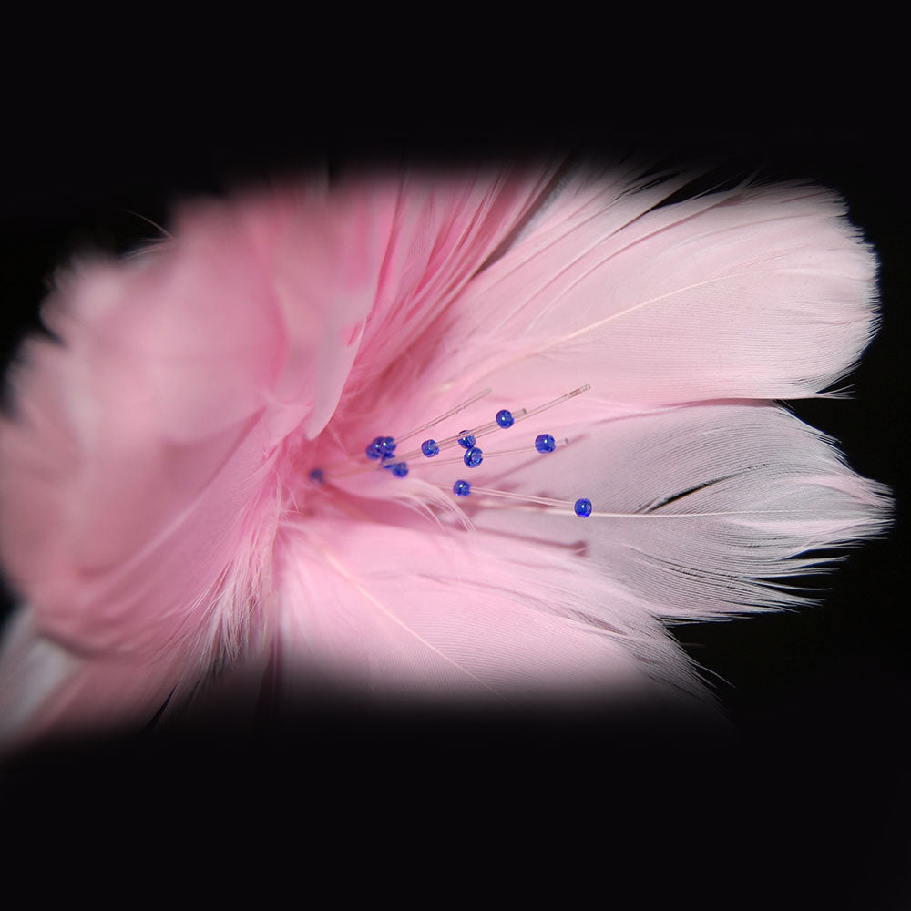 Extreme close up of a pink feather flower