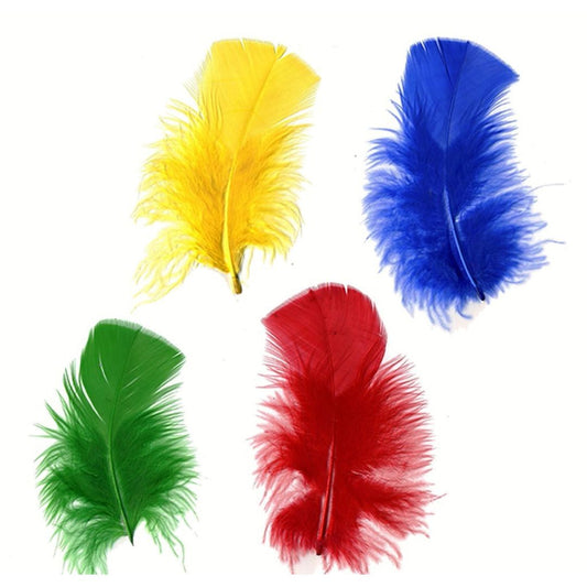 red, yellow, blue, and green turkey plumage